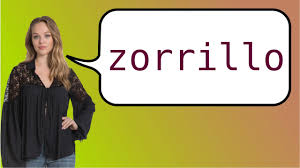 All of a sudden, the inside of the wizard's house. How To Say Skunk In Spanish Youtube