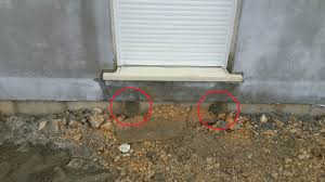 Oups Petit Oubli Construction De Notre Maison Phenix Welcome