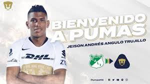 Los peores refuerzos de ares de parga con pumas. Despierta Sonido Prision Pumas Unam Refuerzos 2019 Libro De Texto Equivocado Vaso