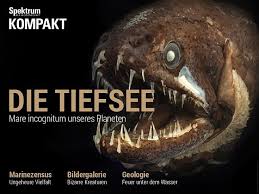 Verbreitungsgebiet ist der südwestpazifik, südlich 33° südlicher breite in der tiefsee. Spektrum Kompakt Die Tiefsee Mare Incognitum Unseres Planeten Spektrum Der Wissenschaft