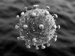Pin On The Antibody Politic At Mcmaster Was Geneva
