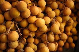 Find more about mata kucing, the meaning of mata kucing and translation of mata kucing from indonesian to english on kamus.net. Mata Kucing Expatgo