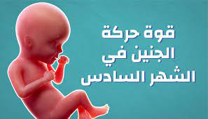 تعرفي بالصور على شكل الجنين في الشهر السادس