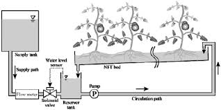 If want further information on nft hydroponics, you can check out my video. Schematic Diagram Of Nutrient Film Technique Nft System Developed For Download Scientific Diagram
