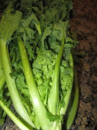 Alla parmigiana, penne con c. Nachgekocht Orecchiette Con Cime Di Rapa Boulancheriechen