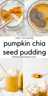 Pumpkin Chia Seed Pudding Recipe Chia Pudding Recipes Healthy Chia Pudding Recipes Recipes