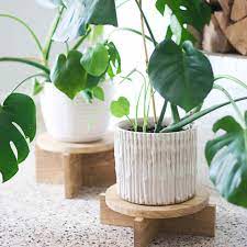 Mid century plant stand by burkatron; 12 Free Diy Plant Stand Plans