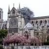 Notre dame de paris, paris'te ünlü katedral. Https Encrypted Tbn0 Gstatic Com Images Q Tbn And9gcs3 4a Jfzwgcaoouuvimrin8wp L1 Wg3irckkihhgz8101f Usqp Cau