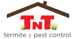 Pest control nearby ruskin, fl for your house? Tnt Termite Pest Control Valrico Fl Surrounding Areas Call 813 716 9196