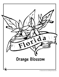 Check spelling or type a new query. Florida Coloring Pages Coloring Home