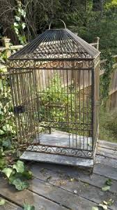 Bird Cage For Sale Craigslist Antique Bird Cage Bird Cage Decor Big Bird Cage Vintage Bird Cage