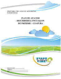 Realizarea planului de afaceri 3. Pdf Infiintarea Unei Activtati Nonagricole In Zone Rurale Plan De Afaceri Deschiderea Unui Salon De Frizerie Coafura Natalia Septelici Academia Edu