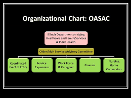 State Of Illinois Illinois Department On Aging Ppt Download
