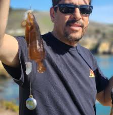 What fish are hitting in Hensley?