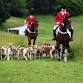 Radnor Hunt Meet of the Hounds at Historic Sugartown event image