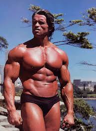 Why Didn T Arnold Have A 6 Pack Ign Boards