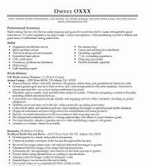 vip bottle service waitress resume