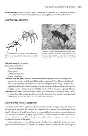 Trapper max glue boards for mice are a must if you have brown recluse spiders. Extraordinary Animals An Encyclopedia Of Curious And Unusual Animals R Piper Greenwood 2007 Flip Book Pages 251 300 Pubhtml5
