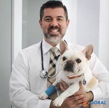 268 подписчиков, 244 подписок, 157 публикаций — посмотрите в instagram фото и видео pet care clinic of doral (@doralpetcare). Home Doral Veterinary Care