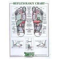 Int Institute Of Reflexology Foot Chart 23 X 30 573 0002