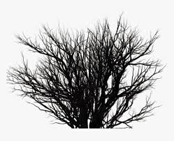 Black Bush Png Transparent Png Transparent Png Image Pngitem This png file is about white ,transparent ,bush ,black. black bush png transparent png