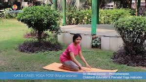 The cat camel exercise is excellent at 1. Yoga Poses Exercises Cat Camel Mychildfirst