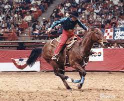 Scamper Horse Wikipedia