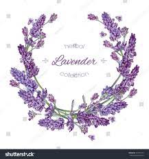 Vector Lavender Flower Round Frame On White Background Design For Natural Cosmetic Health Care Products Perfu Lavender Flowers Flower Wreath Flower Drawing