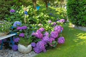 Check spelling or type a new query. 9 Best Perennial Shade Plants This Old House