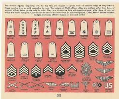 20 Clean Army Enlisted Rank Structure Chart