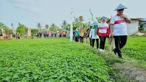 Назад · pertamina di balikpapan cari di antara 16.000+ lowongan kerja terbaru pekerjaan penuh waktu lowongan kerja pertamina balikpapan. Destinasi Wisata Baru Di Balikpapan Kawasan Wisata Edukasi Kangkung Sumber Rejo