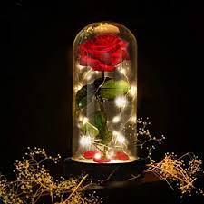 Amazon Com Deluxsa Enchanted Red Silk Rose Beauty And The Beast Rose With Fallen Petals In A Light Dome Home Office Or Home Decorations Anniversary Valentine S Day Christmas Gift Home Kitchen