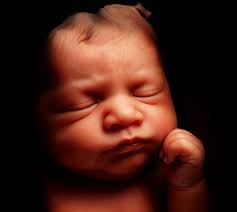 Hi! I'm looking for recommendations for maternity photographers. I would  really like