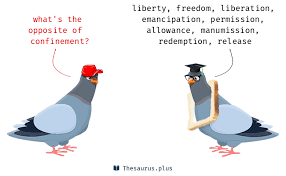 How to use confinement in a sentence. Words Confinement And Freedom Are Semantically Related Or Have Opposite Meaning