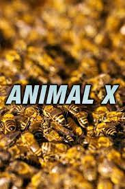 Animal X (TV Series 1997–2004) - IMDb