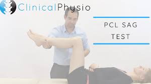 Image result for PCL Sulcus Test