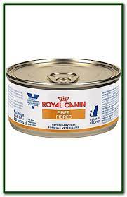 High Fiber Cat Food Royal Canin High Fiber Cat Food Cat Food Sensitive Stomach Cat Food