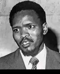 South African History Steve Biko, remember our martyrs and mentors in the  struggle against apartheid tyranny. Biko gave his life so that we could be  free. Sounds familiar? Mr Strike Thokoane, President