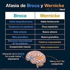 Afasia sensorial o de wernicke. Urgencias Y Emergencias Afasia De Wernicke Y Broca La Afasia Es Una Disfuncion Del Lenguaje Que Puede Involucrar Una Alteracion De La Comprension O La Expresion De Palabras O Equivalentes No