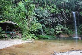 From the intriguing colonial base of kuching, you can can leap into sarawak's main attractions. Sarawak Borneo A Nature Lover S Dream Rad Season