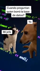 #Meme #MemeCut #CapCut #programacion #ingenierosoftware #programadores #dev