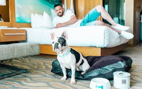 Search dog and cat friendly apartments in bath, mi with the largest and most trusted rental site. The Best Dog Friendly Hotels In The U S Travel Leisure