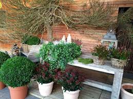 Les Top Conseils Pour Profiter D Une Jardiniere D Hiver Tout En Rendant Votre Espace Outdoor Plus Fonctionnel Et Plus Festif Jardinieres D Hiver Jardinage En Pots Pot Plante