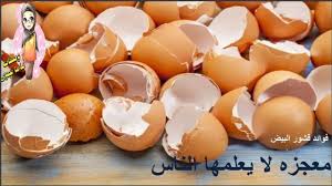 معجزة فوائد قشر البيض أتحداك أن ترمي قشور البيض بعد معرفة فوائدها لاترم Cuisine Food Natural Living