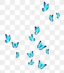 Glowing Blue Butterfly A Group Of Butterflies Beautiful Blue Butterfly At Night Blue Hand Painted Bu Butterfly Illustration Butterfly Background Blue Butterfly
