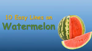 The second tray had an. Watermelon 10 Lines On Watermelon In English Youtube