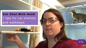 7 Tips For Diy Cat Wall Shelves And Walkways Whether displaying beautiful keepsakes, fine china, decorative ornaments or family photos, ikea wall shelving systems provide a practical a solution to display storage.