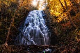 Check spelling or type a new query. 7 Waterfalls On The Blue Ridge Parkway You Need To Check Out Circawanderlust