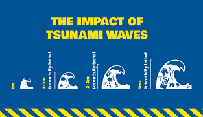 The first poster, in 2008, displayed a map of all confirmed historical tsunami sources and highlighted the most impactful events. Tsunami Public Education Resources National Emergency Management Agency