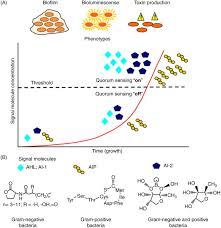 Quorum Sensing An Overview Sciencedirect Topics